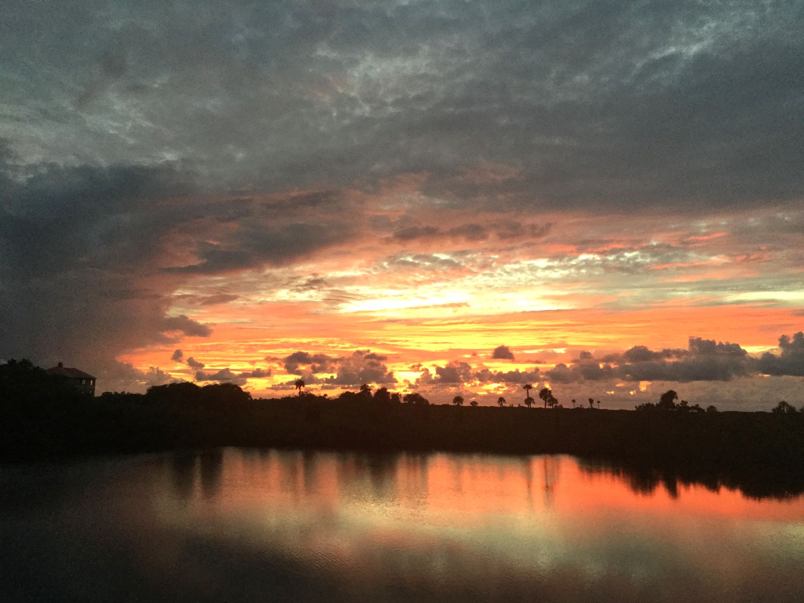 A sunset over calm water with palm trees along the far shore on Florida's Nature Coast